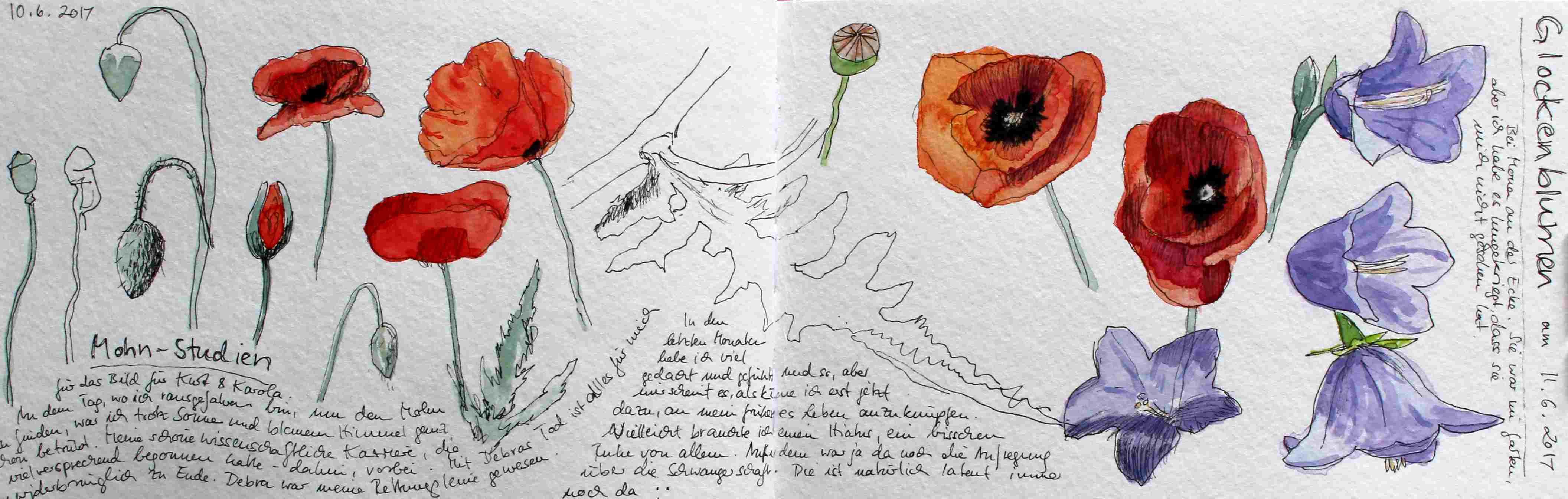 Flower sketches | Blumenskizzen