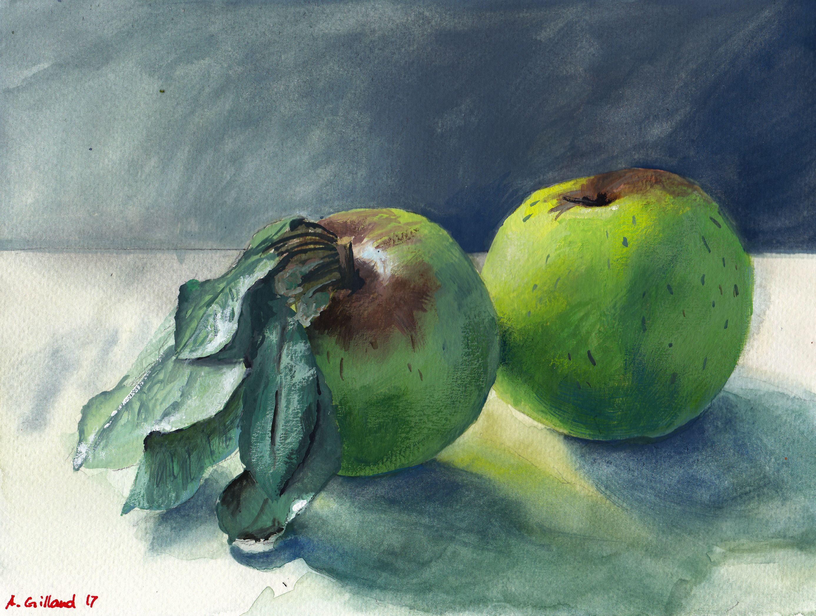 August apples in green and blue | Blaugrüne Augustäpfel