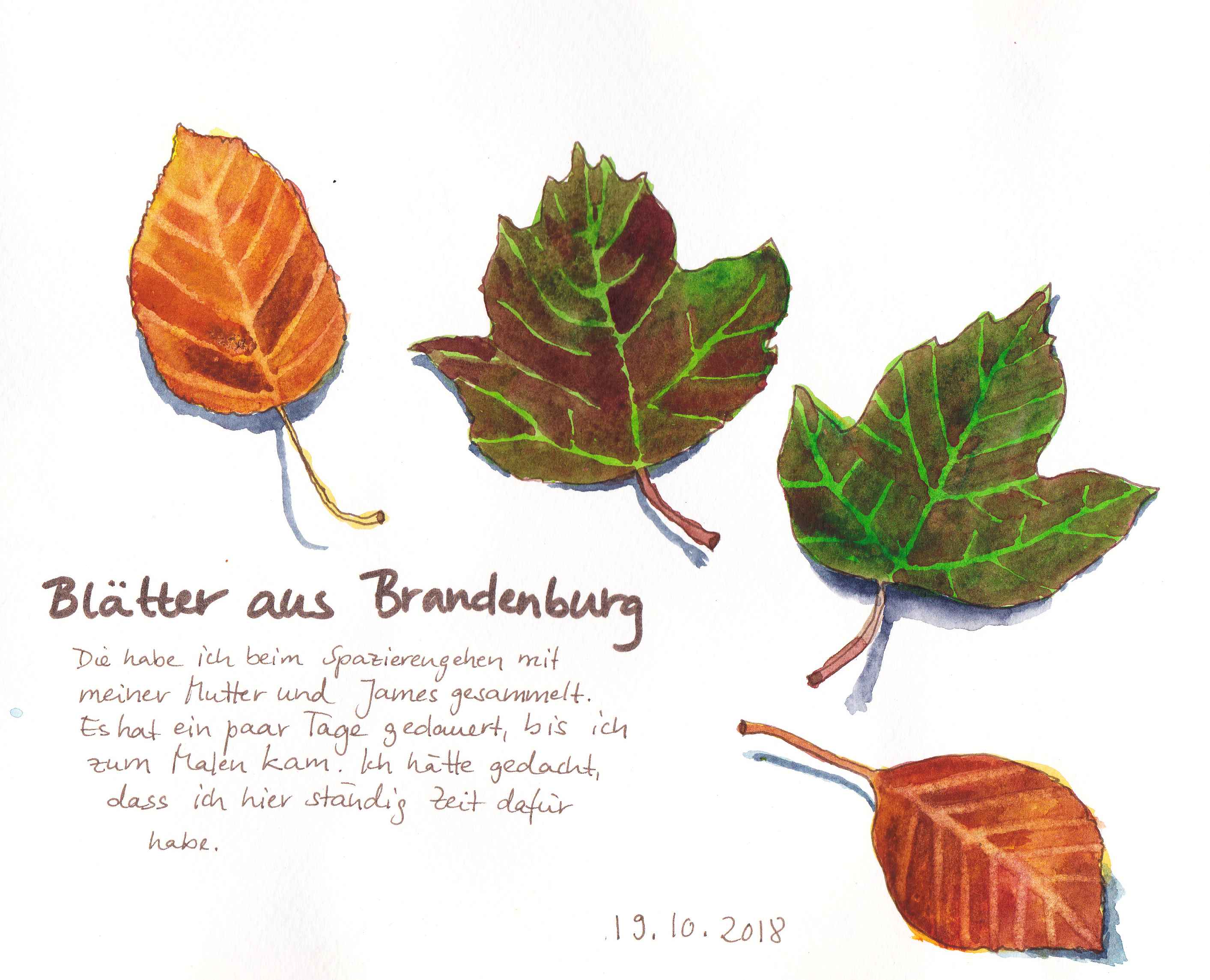 Autumn leaves | Herbstliche Blätter