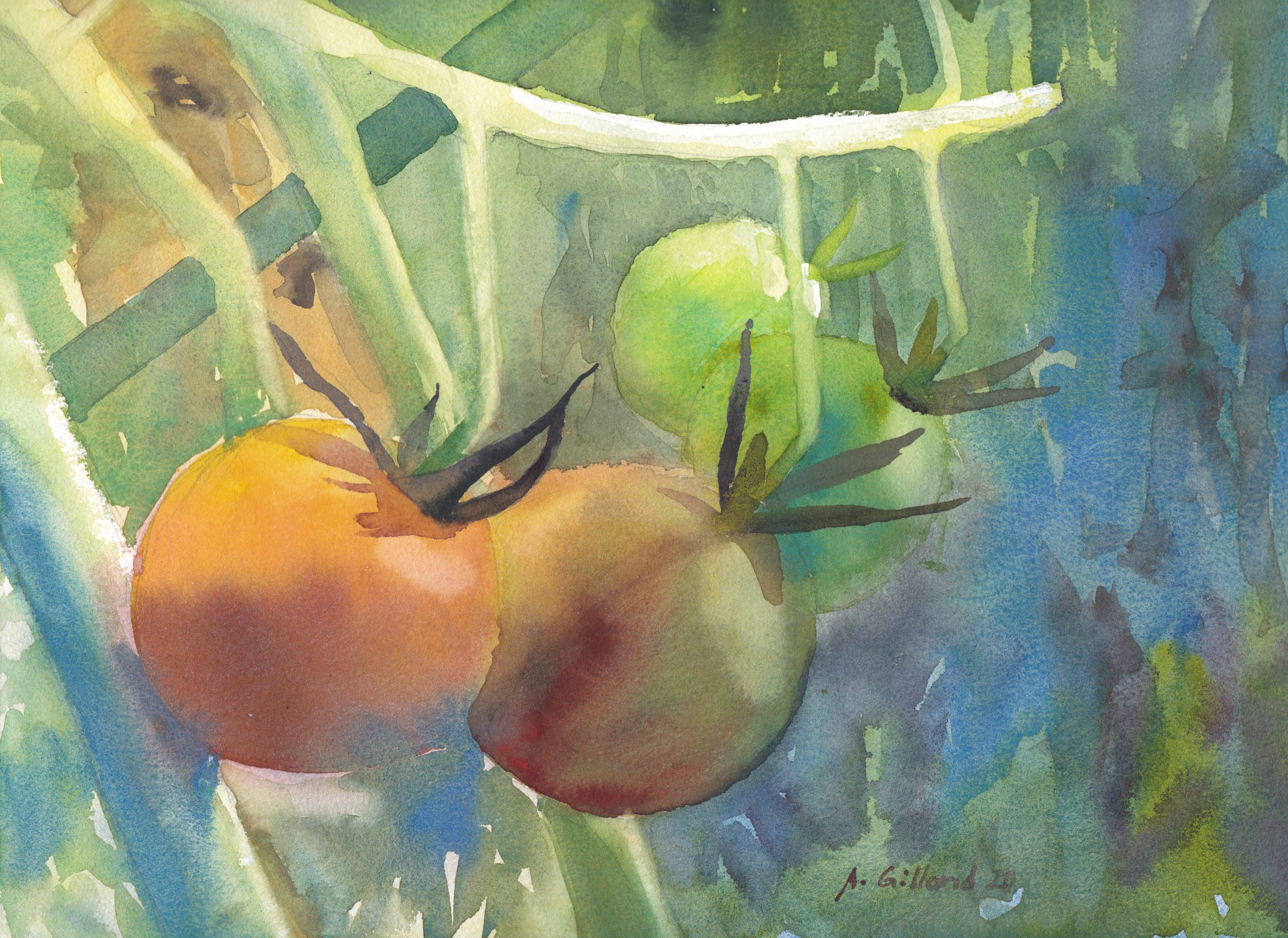 Die kleinen Dinge im Leben… und leckere Tomaten