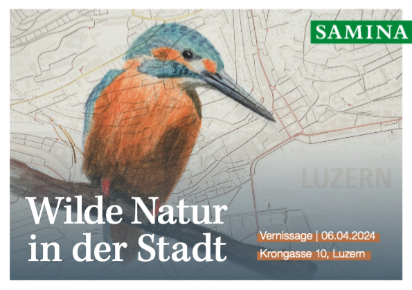 Ausstellung „Wilde Natur in der Stadt“ in Luzern